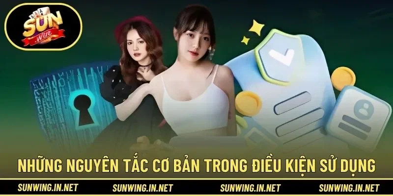 Những nguyên tắc cơ bản trong điều kiện sử dụng